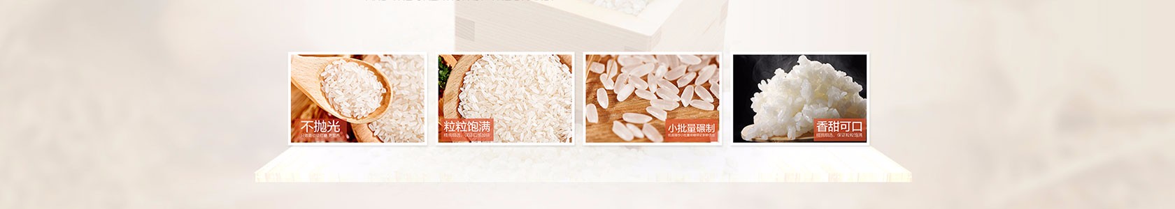 专业设计有限公司企业网站模板
